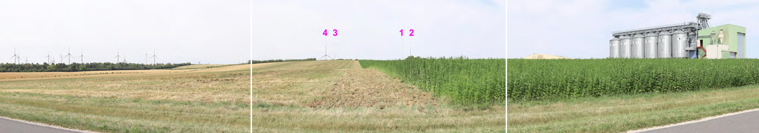 Depuis la route vicinale entre Coupéville et St-Amand-sur-Fion